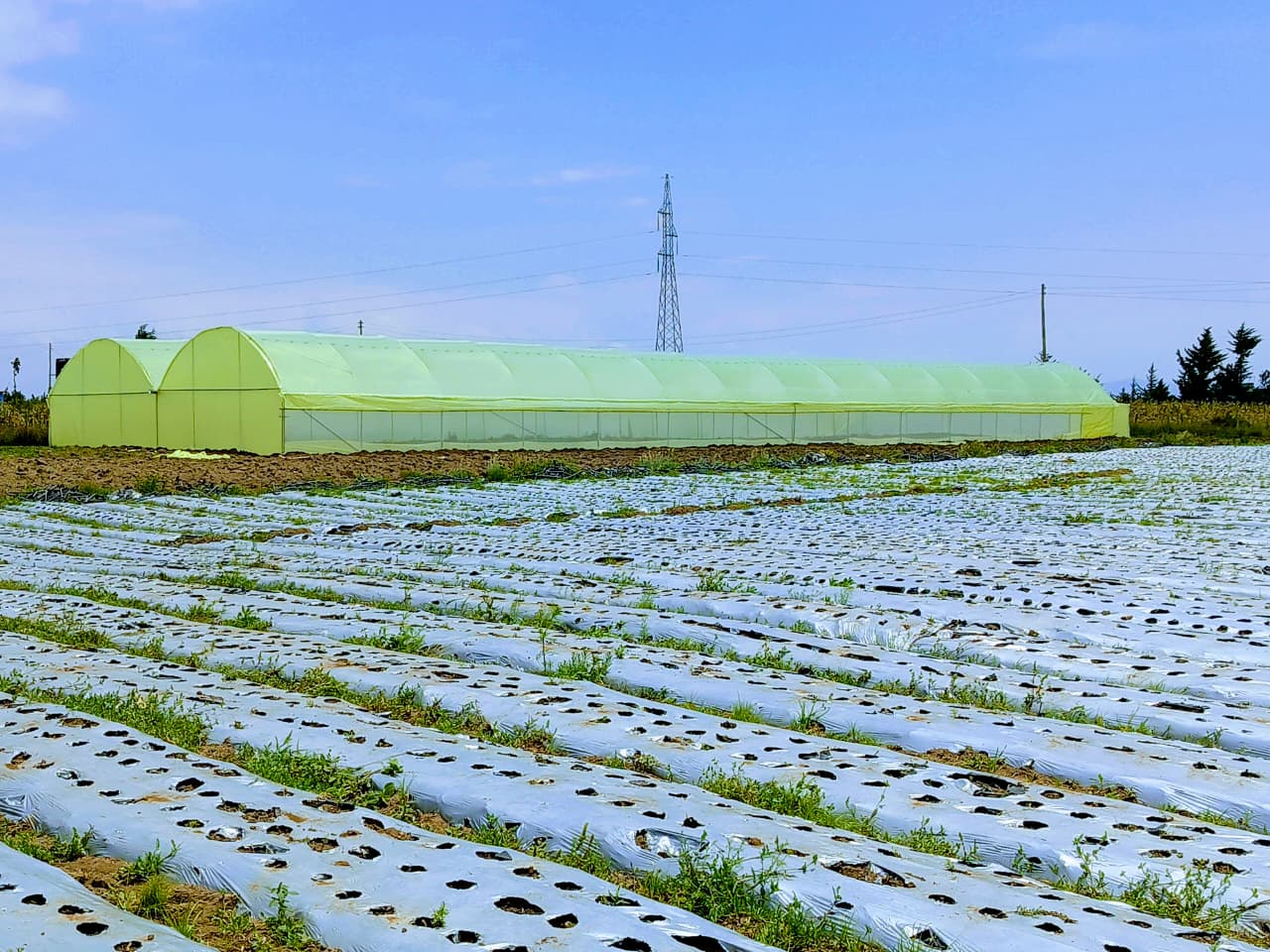 University Research Center